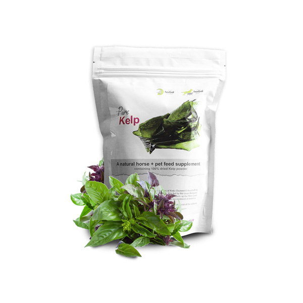 The-Herbal-Horse-Natural-supplements-for-horses-Pure-Kelp-500g